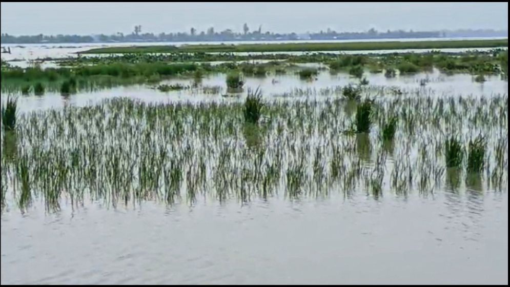 কুড়িগ্রামে নদ-নদীর পানি বৃদ্ধি পেয়ে নিম্নাঞ্চল প্লাবিত