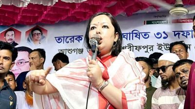 ভোটে তারা ১০ আসনও পাবে না : ব্যারিস্টার রুমিন