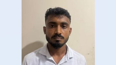 নুরাল পাগলার দরবার থেকে লুট হওয়া গরুসহ যুবক গ্রেপ্তার