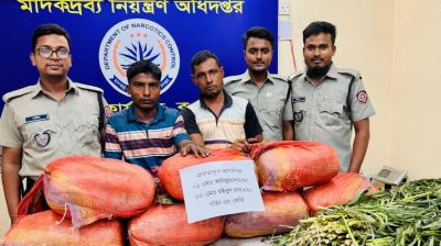 বগুড়ায় ভ্যান থেকে ৩৫ কেজি গাঁজা উদ্ধার, আটক ২