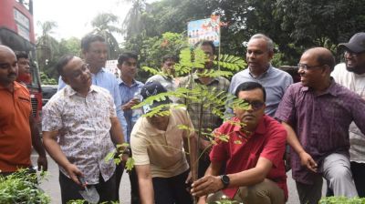 বৃক্ষরোপণ ও সবুজায়নের উদ্বোধন করলেন ডিএসসিসি প্রশাসক শাহজাহান