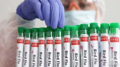 চার শিশুর শরীরে বার্ড ফ্লু শনাক্ত