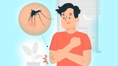 ডেঙ্গুতে আরও ৩ জনের মৃত্যু