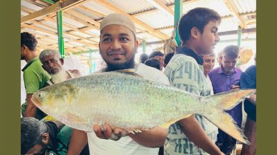 এক ইলিশের দাম ১৪ হাজার টাকা