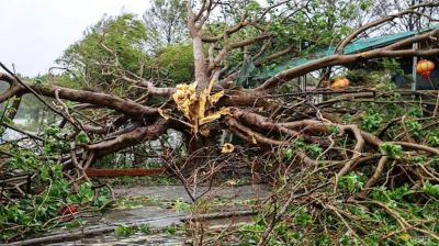 টাইফুন বুয়ালোইয়ের তাণ্ডবে ভিয়েতনামে ১৯ জন নিহত