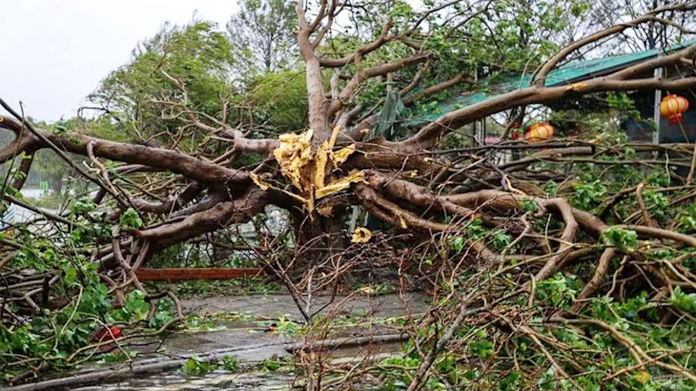 টাইফুন বুয়ালোইয়ের তাণ্ডবে ভিয়েতনামে ১৯ জন নিহত