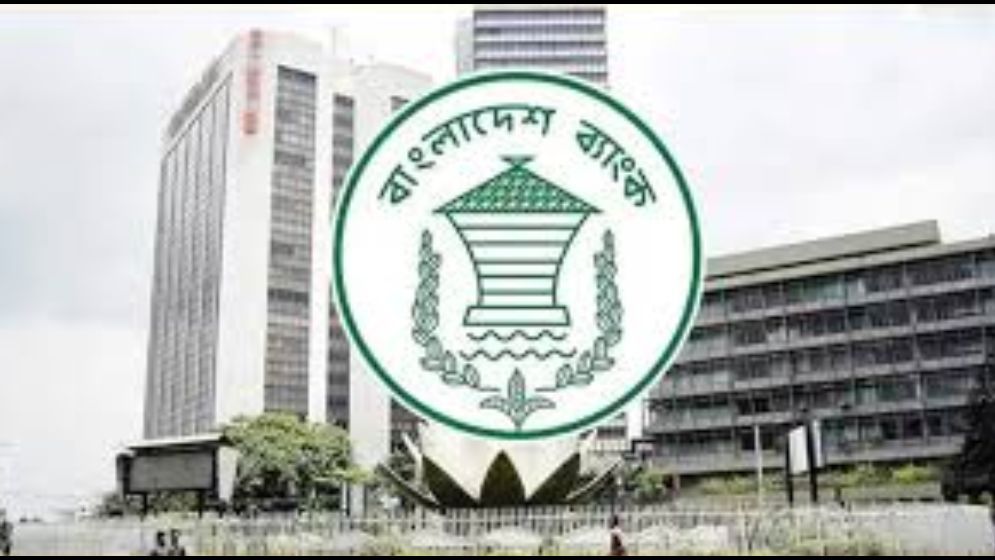 ব্যাংকিং খাতের আর্থিক ভারসাম্য ফেরাতে বিবির ভূমিকা