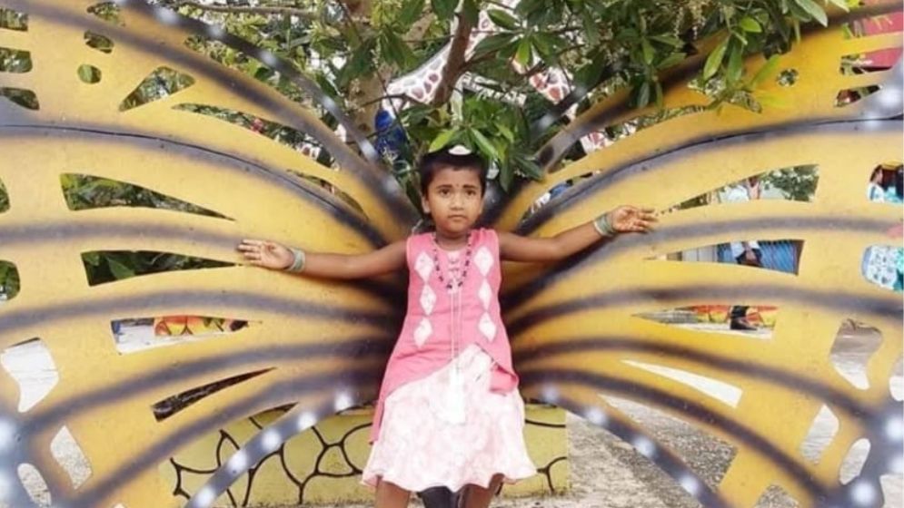 দাদার মরদেহ দেখে ফেরার পথে সড়ক প্রাণ গেল নাতনির