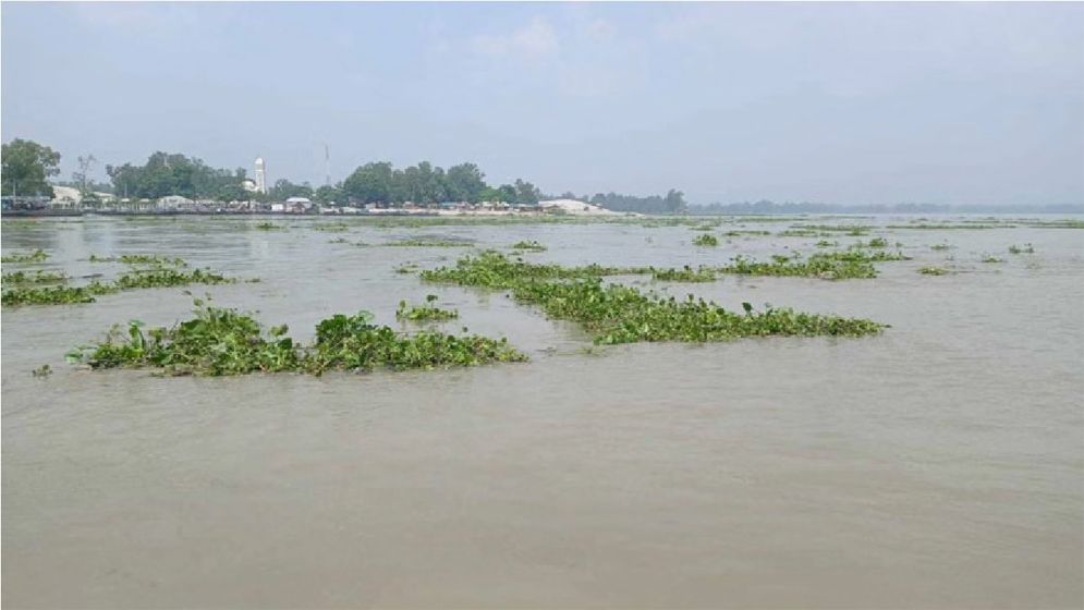 যমুনার পানি অস্বাভাবিক হারে বাড়ছে