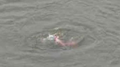 নিকলীতে মাছ ধরতে গিয়ে পানিতে ডুবে শিশুর মৃত্যু