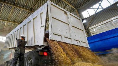 যুক্তরাষ্ট্র থেকে গম আমদানিতে কোনো অনিয়ম হয়নি: খাদ্য মন্ত্রণালয়