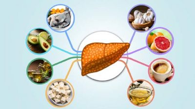 লিভার সুস্থ রাখতে যেসব খাবার উপকারী