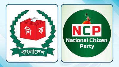 অবশেষে শাপলা প্রতীক পাচ্ছে এনসিপি!