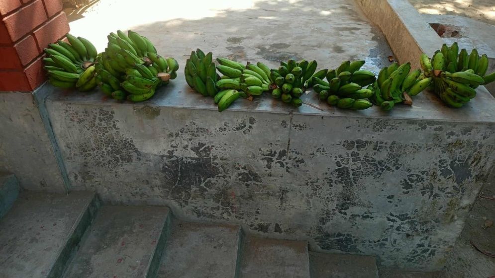 প্রথম সপ্তাহেই অনিয়মের অভিযোগ