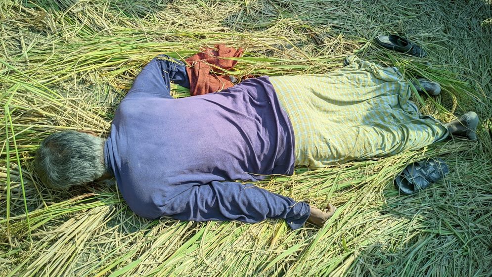 ধুনটের নুরুল ইসলামের চোখ উপড়ে-কান কেটে হত্যা, ধানক্ষেত থেকে মরদেহ উদ্ধার