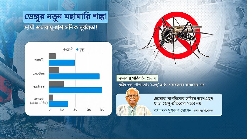 নভেম্বরই ‘দুঃস্বপ্ন’ হতে পারে ডেঙ্গু : ফের ভয়াবহ প্রাদুর্ভাবের ইঙ্গিত