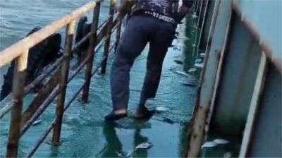 জাহাজের ডেকে উঠে এলো ঝাঁকে ঝাঁকে ইলিশ