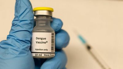 বিশ্বের প্রথম এক ডোজের ডেঙ্গু টিকা অনুমোদন দিল ব্রাজিল