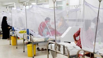 ডেঙ্গুতে আরও ৬ মৃত্যু, হাসপাতালে ৭৮৮