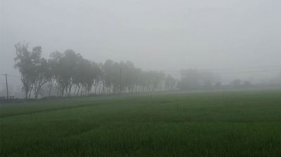 পঞ্চগড়ে তাপমাত্রার পারদ নামল ১৩ ডিগ্রিতে