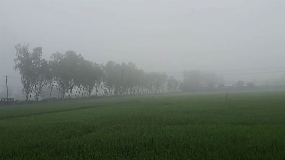 পঞ্চগড়ে বইছে হালকা শীতের হাওয়া