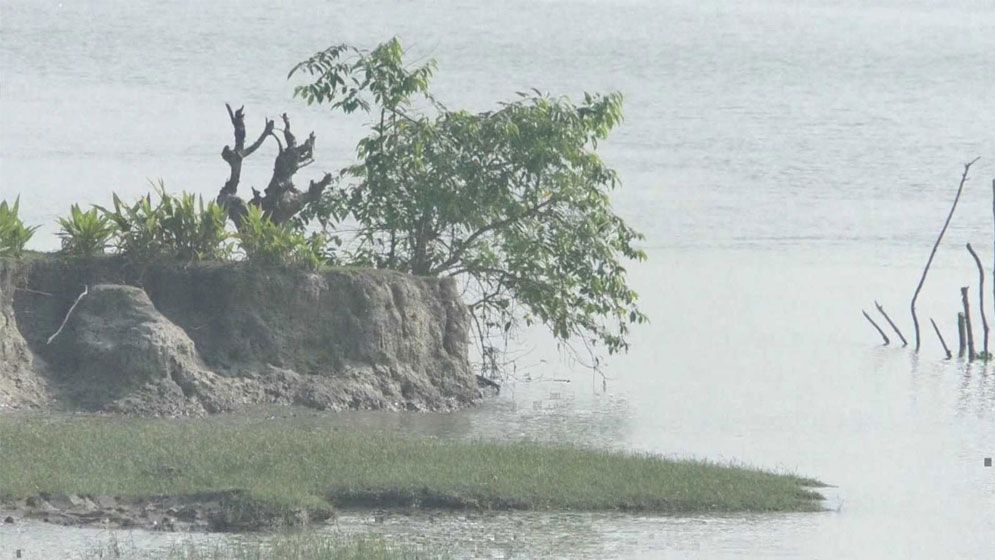 ১৭ বছর পরও সিডরের মুছেনি ক্ষত, উপকূলজুড়ে স্থায়ী ভাঙন-ভয় ও অনিশ্চয়তার জীবন