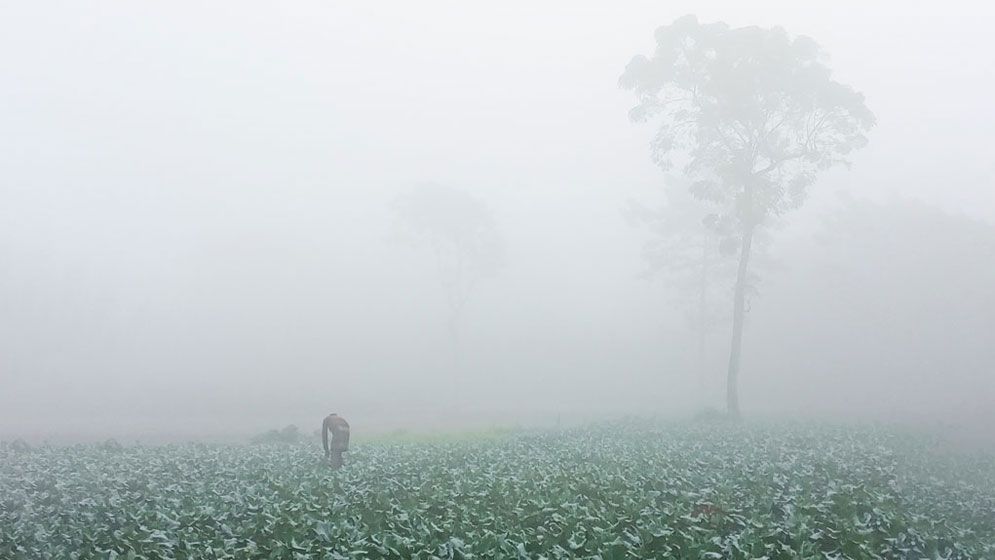 উত্তর-পশ্চিমে শীতের আগমন, ডিসেম্বরেই প্রথম শৈত্যপ্রবাহের সম্ভাবনা