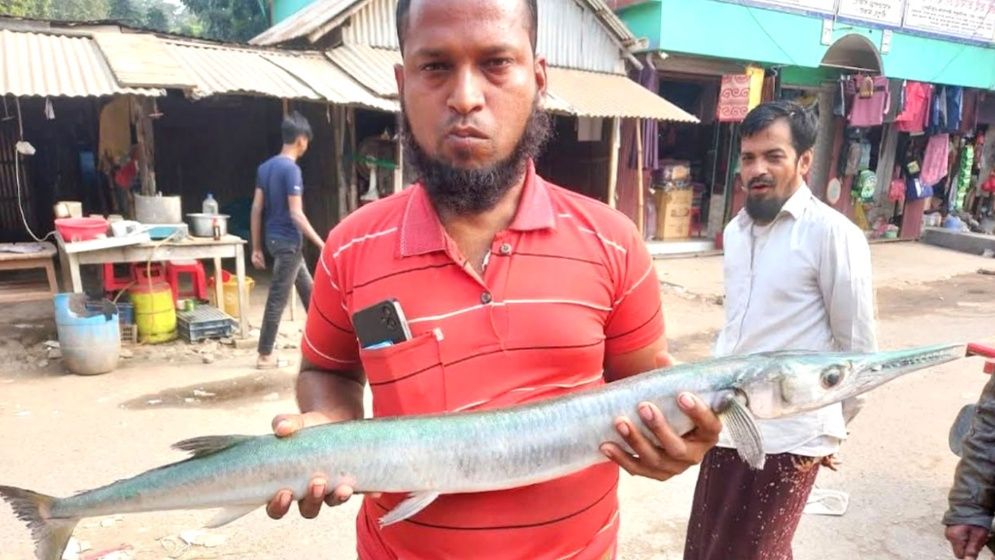 পুকুর থেকে জালে উঠল ৮ কেজি ওজনের কাকিলা মাছ