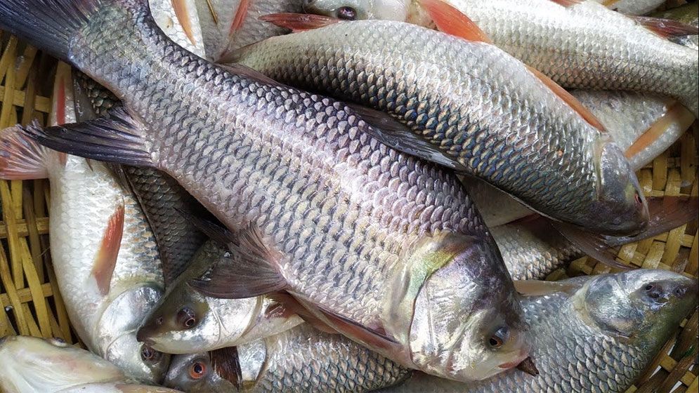 বাজারে সব পণ্যের দোলাচল, স্থির শুধু মাছের বাড়তি দাম