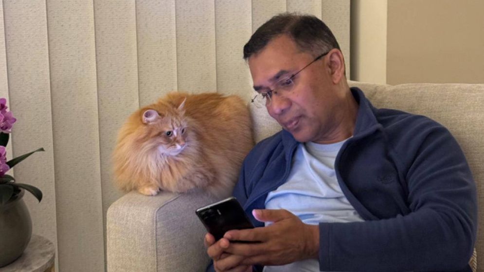 তারেক রহমানের সঙ্গে আসছে সেই বিড়াল