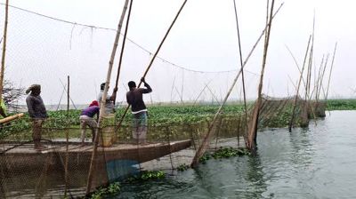 তিতাস নদীতে পানি আছে, নেই মাছ