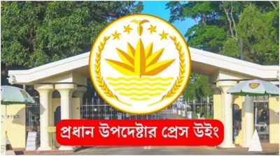 রাজবাড়ীতে গণপিটুনিতে একজন নিহতের ঘটনায় যা জানাল সরকার