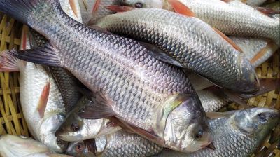 বাজারে সব পণ্যের দোলাচল, স্থির শুধু মাছের বাড়তি দাম