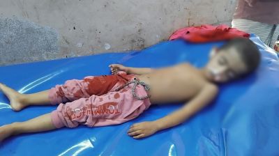 এসিল্যান্ডের গাড়ির চাকায় পিষ্ট হয়ে শিশুর মর্মান্তিক মৃত্যু