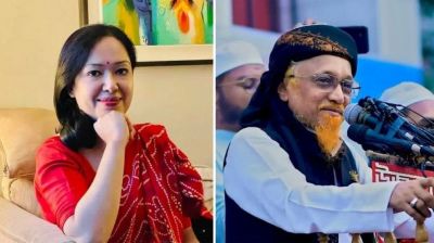 ‘কপাল পুড়ল’ রুমিন ফারহানার, জুনায়েদকে সমর্থন বিএনপির