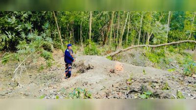 পাইকগাছায় আদালতের নিষেধাজ্ঞা উপেক্ষা করে লক্ষাধিক টাকার গাছ কর্তন