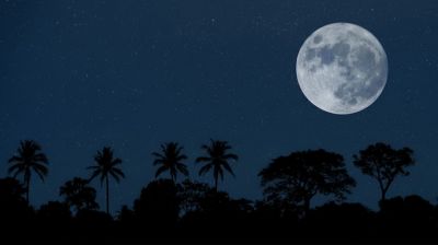 আজ বছরের সবচেয়ে ছোট দিন আর দীর্ঘতম রাত