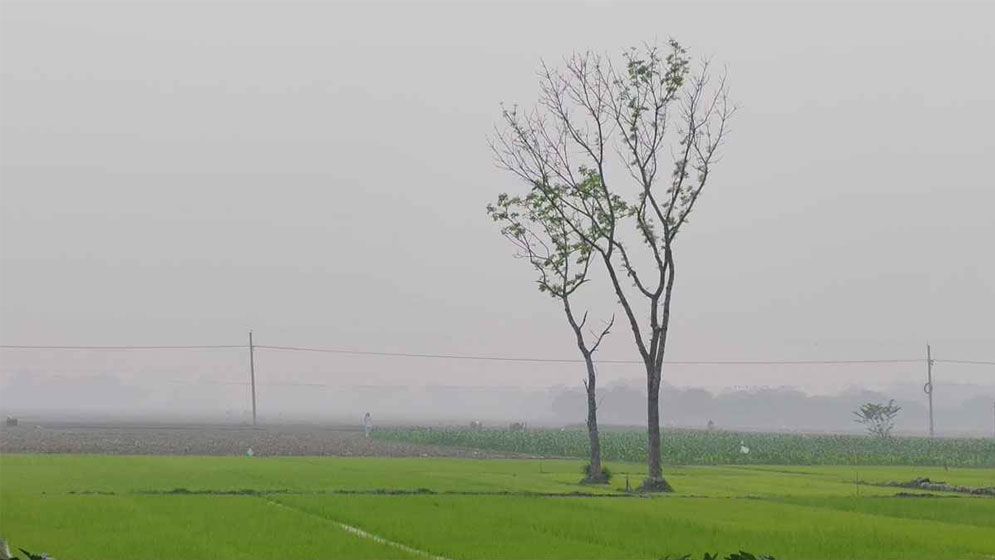 রাজশাহীতে মৌসুমের সর্বনিম্ন তাপমাত্রা ১০ ডিগ্রি