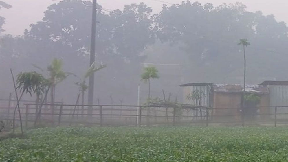 তেঁতুলিয়ায় এক সপ্তাহ ধরে বইছে মৃদু শৈত্যপ্রবাহ