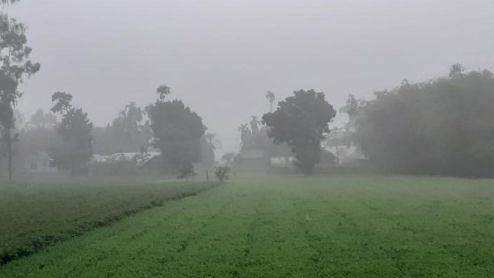 ঘন কুয়াশা ও হিমেল বাতাসে কাঁপছে চুয়াডাঙ্গা, তাপমাত্রা নামল ১১.৭ ডিগ্রিতে