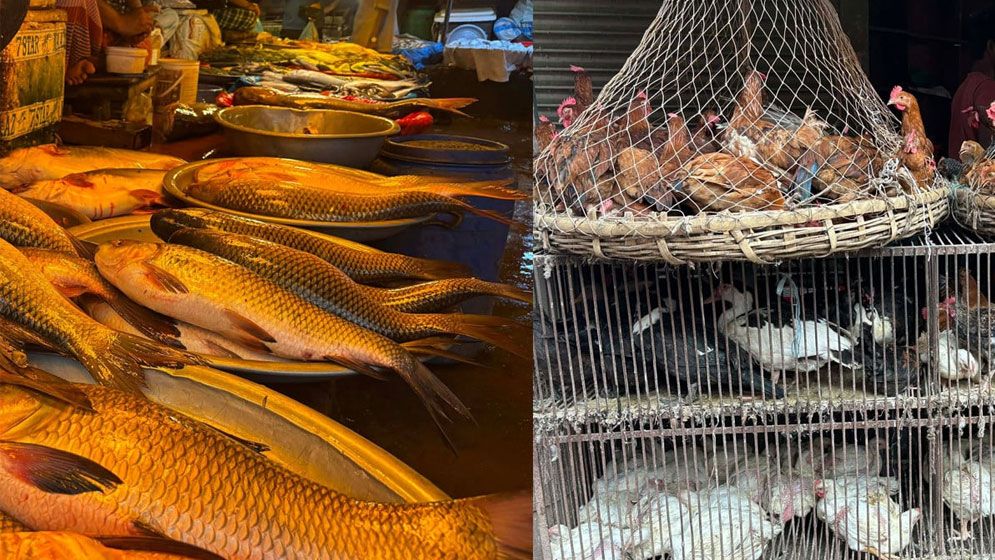 শীতের প্রভাবে বাজারে মিশ্র চিত্র: মাছের দামে চাপ, ডিম ও মুরগিতে কিছুটা স্বস্তি