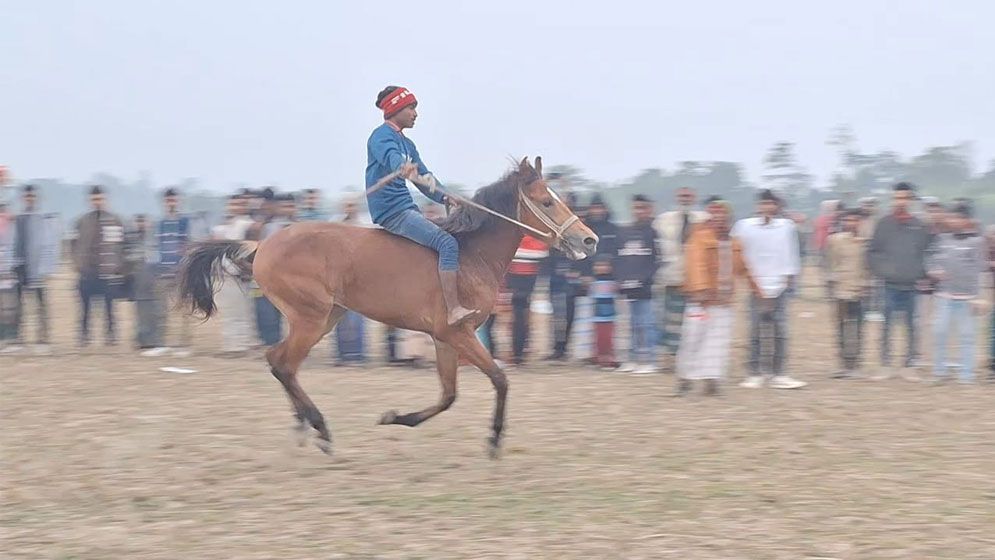 শীত উপেক্ষা করে কটিয়াদীতে ঘোড়দৌড়ে উৎসব, ফিরল গ্রাম বাংলার হারানো ঐতিহ্য