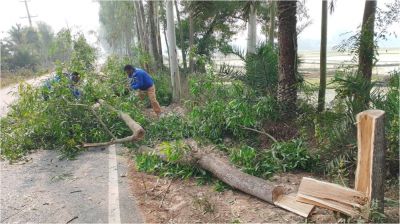 অটোভ্যান চালককে বেঁধে গাড়ি ছিনতাই