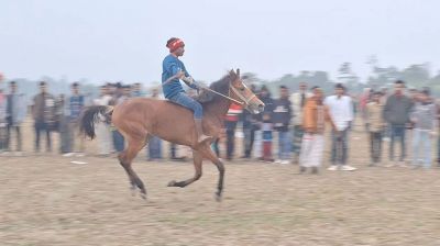 শীত উপেক্ষা করে কটিয়াদীতে ঘোড়দৌড়ে উৎসব, ফিরল গ্রাম বাংলার হারানো ঐতিহ্য