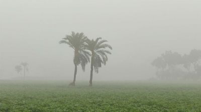 পঞ্চগড়ে তিন দিন ধরে দেশের সর্বনিম্ন তাপমাত্রা