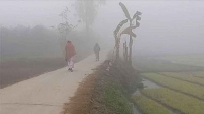 মাঘেও শীতের দেখা নেই, বাড়তির দিকে তাপমাত্রা