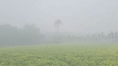 দেশজুড়ে শীতের দাপট অব্যাহত, ২২ জেলায় বইছে শৈত্যপ্রবাহ
