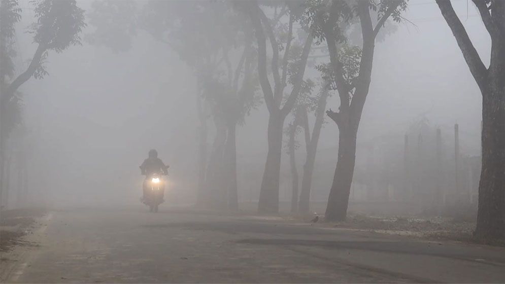 তেঁতুলিয়ায় ঘন কুয়াশা ও হিমেল বাতাসে জেঁকে বসেছে শীত, জনজীবনে ভোগান্তি