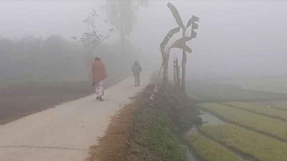 মাঘেও শীতের দেখা নেই, বাড়তির দিকে তাপমাত্রা