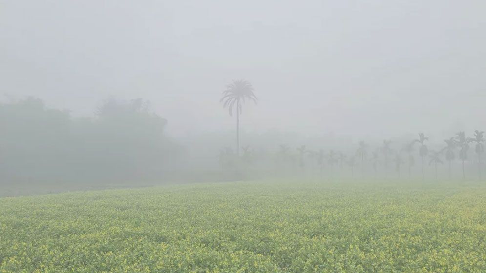 দেশজুড়ে শীতের দাপট অব্যাহত, ২২ জেলায় বইছে শৈত্যপ্রবাহ